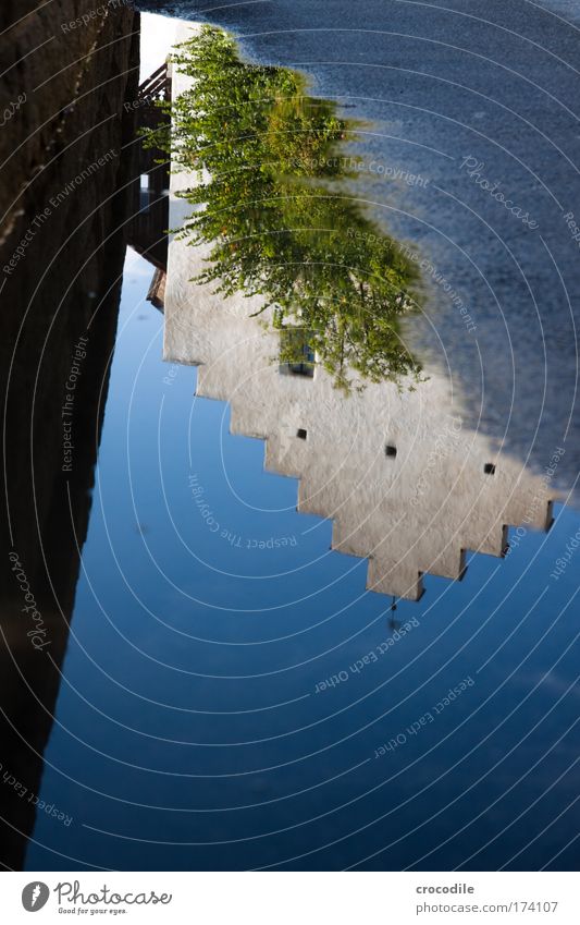 mirror image Colour photo Exterior shot Detail Deserted Day Shadow Contrast Reflection Deep depth of field Bird's-eye view Worm's-eye view Environment Nature