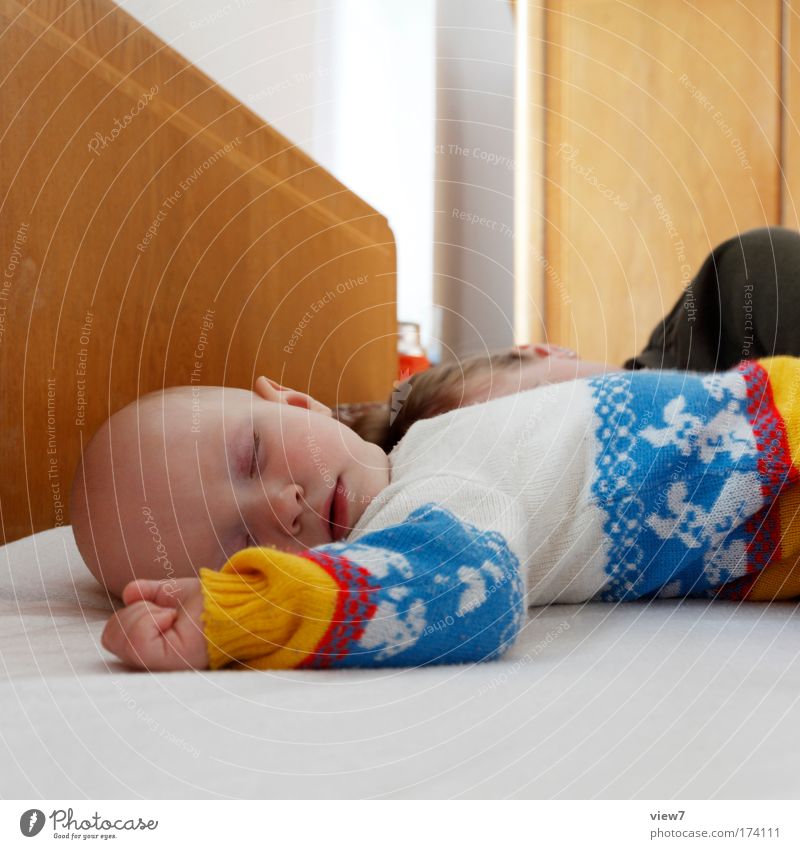 after-lunch nap Colour photo Multicoloured Interior shot Close-up Day Shallow depth of field Closed eyes Interior design Decoration Furniture Bedroom