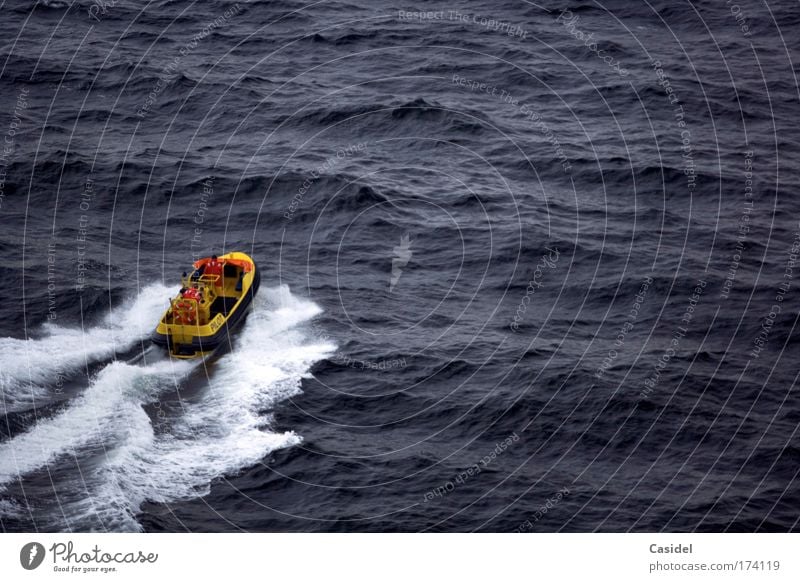 pilot boat Subdued colour Multicoloured Exterior shot Copy Space right Day Shadow Bird's-eye view Work and employment Pilot vessel Watercraft Logistics Services