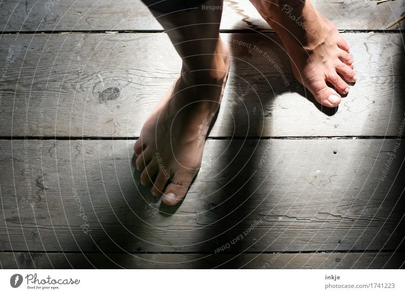 wooden floorboards Senses Wooden floor Floorboards Woman Adults Life Feet Women`s feet 1 Human being Going Stand Esthetic Dark Emotions Moody Curiosity Barefoot