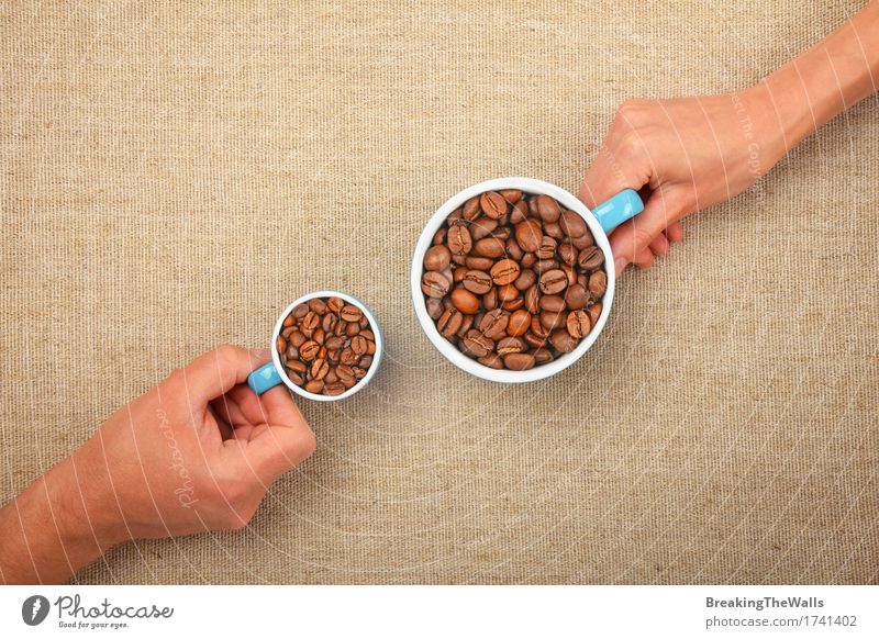 Two hands holding different cups full with roasted coffee beans To have a coffee Coffee Cup Mug Meeting Woman Adults Man Hand To talk To hold on Together Small