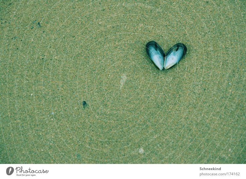 The beach confesses its love to me Colour photo Exterior shot Deserted Copy Space left Copy Space right Copy Space top Copy Space bottom Copy Space middle