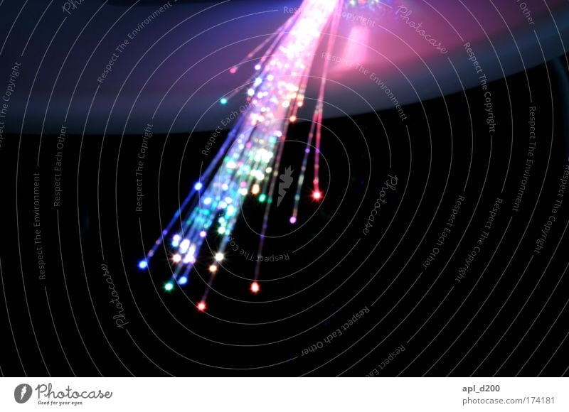 Sharp Colour photo Interior shot Copy Space bottom Night Artificial light Light (Natural Phenomenon) Fiber optic lamp Technology Science & Research Advancement