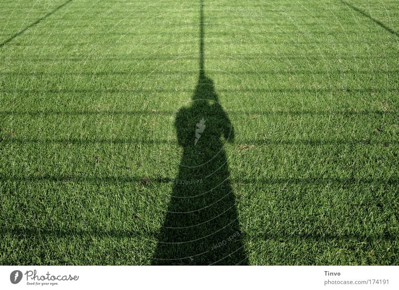 black widow Colour photo Exterior shot Copy Space left Copy Space right Copy Space top Evening Shadow Contrast Silhouette Audience Fan Football pitch Stadium