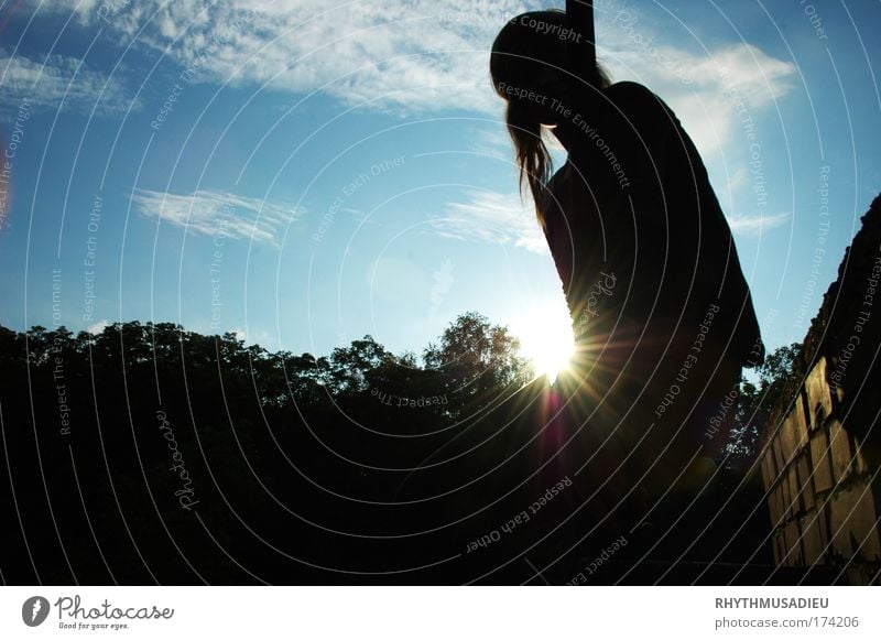 we've seen the sun so many times. Colour photo Exterior shot Copy Space left Evening Twilight Light Shadow Contrast Light (Natural Phenomenon) Sunlight Sunbeam