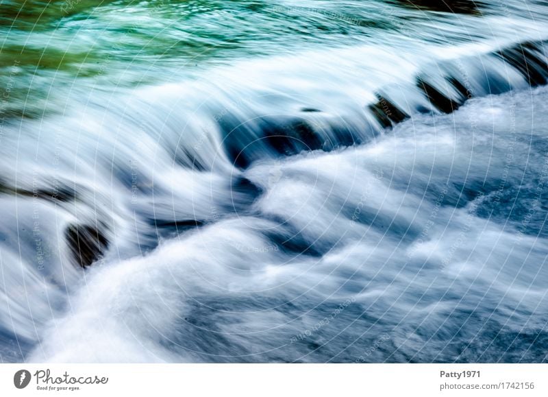 Wild Water Nature Brook River Waterfall Rapid Wet Green Turquoise Calm Energy Relaxation Speed Pure Environment Colour photo Exterior shot Day Long exposure