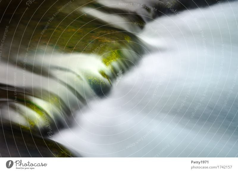 Wild Water Nature Brook River Waterfall Rapid Wet Green White Calm Energy Relaxation Contentment Pure Environment Colour photo Exterior shot Copy Space right