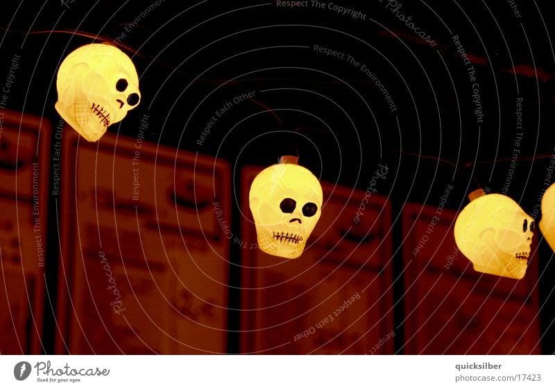 skull Light Bar Photographic technology Death's head