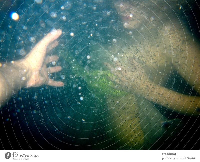 swim for rescue Colour photo Subdued colour Exterior shot Interior shot Underwater photo Day Evening Flash photo Blur Shallow depth of field Upper body