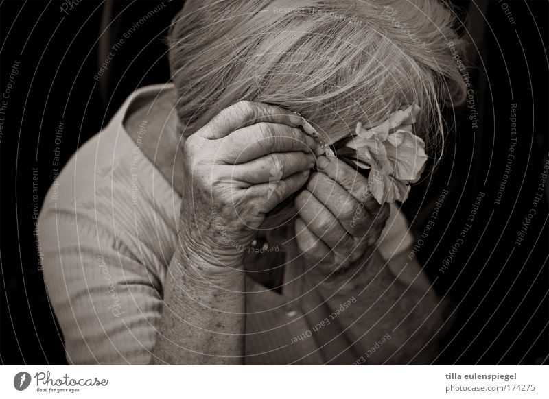 flower lady Black & white photo Exterior shot Bird's-eye view Upper body Looking away Female senior Woman Grandmother Senior citizen 1 Human being