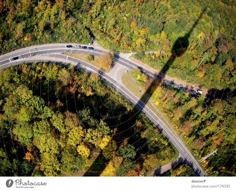 tower shadow Colour photo Nature Landscape Tower Forest Television tower Shadow Street Tall Summer Tree Height Bird's-eye view Lanes & trails Stuttgart