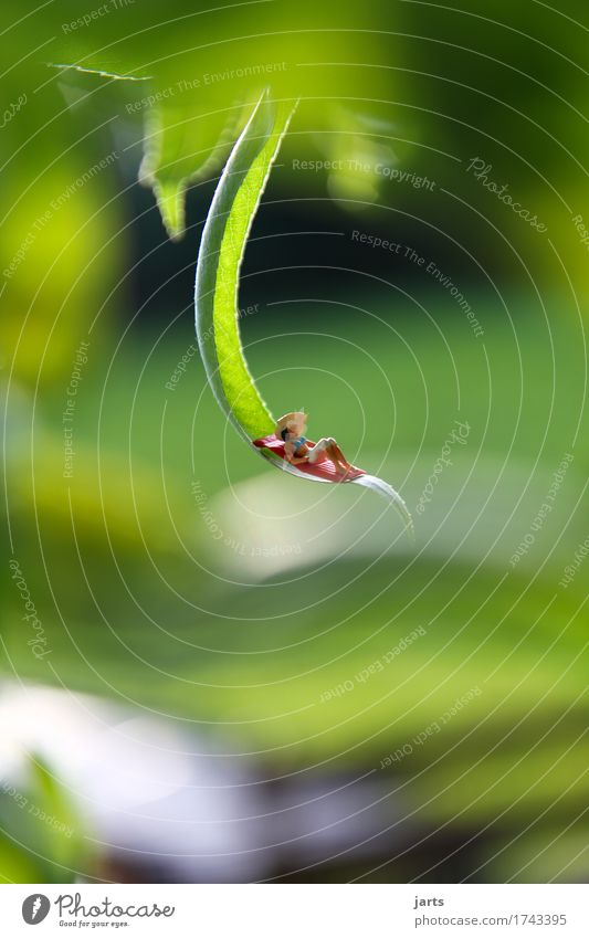 chillout lounge Relaxation Calm Feminine 1 Human being Tree Leaf Garden Lie Serene Sunbathing Colour photo Multicoloured Exterior shot Close-up Copy Space left