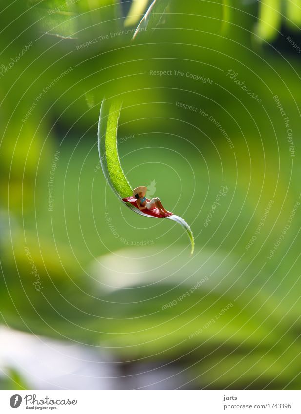 SUNPLACE Relaxation Calm Feminine 1 Human being Beautiful weather Tree Leaf Garden Lie Natural Serene Senses Sunbathing Colour photo Multicoloured Exterior shot