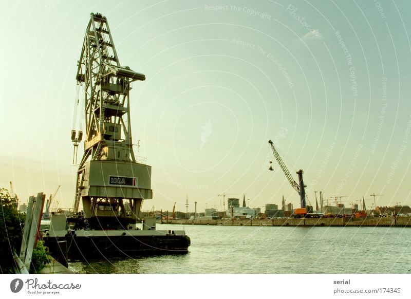 fishing time Colour photo Exterior shot Deserted Copy Space right Copy Space top Copy Space middle Neutral Background Day Evening Silhouette Reflection Sunlight