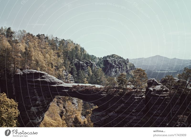 The Prebisch Gate in the Czech Republic Landscape Rock Mountain Bohemian Switzerland Rock gate Tall Nature Far-off places Vantage point Elbsandstone mountains