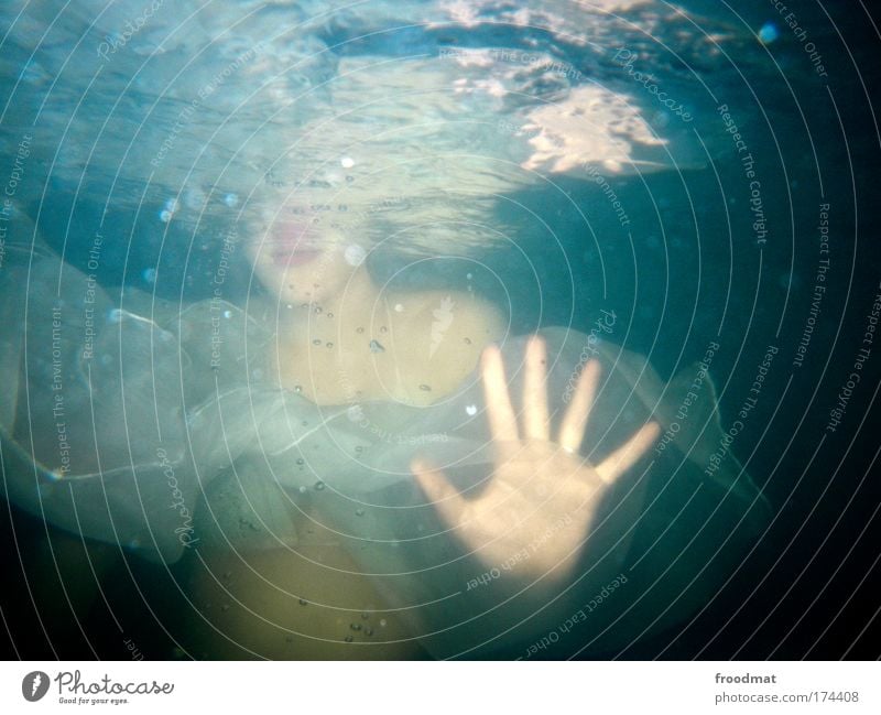 shark Colour photo Multicoloured Underwater photo Artificial light Flash photo Upper body Looking into the camera Wellness Whirlpool Swimming & Bathing Bathroom