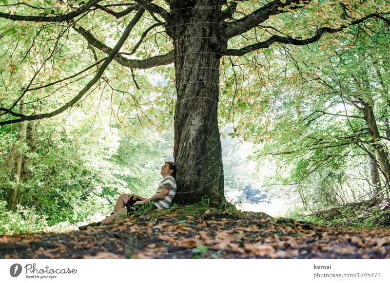 Woman leans against a tree and looks up Lifestyle Harmonious Well-being Contentment Senses Relaxation Calm Leisure and hobbies Trip Freedom Hiking Human being