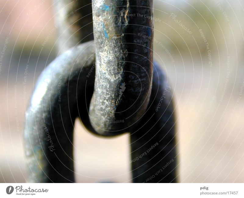 chain Chain link Obscure Metal Connection Macro (Extreme close-up) Exterior shot