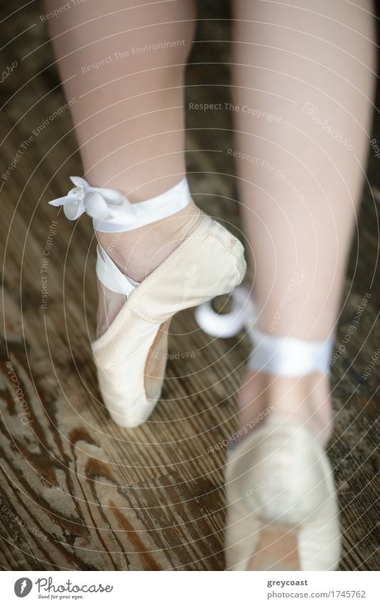 Ballerina legs on tiptoe wearing ballet shoes Elegant Beautiful Academic studies Girl Feet 1 Human being 13 - 18 years Youth (Young adults) Dancer Ballet