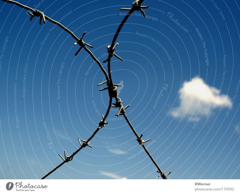 barbed wire Hunting Freedom Rope Sky Clouds Beautiful weather Razor blade Metal Signs and labeling Rebellious Safety Responsibility Dangerous Aggravation