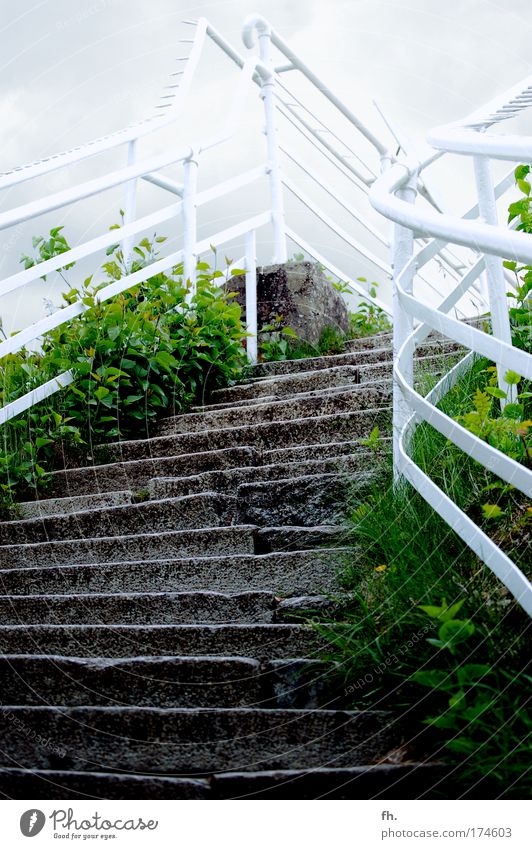 Stairway to heaven Vacation & Travel Tourism Trip Freedom Climbing Mountaineering Karl May Nature Sky Clouds Bad weather Bushes Foliage plant Hill Peak