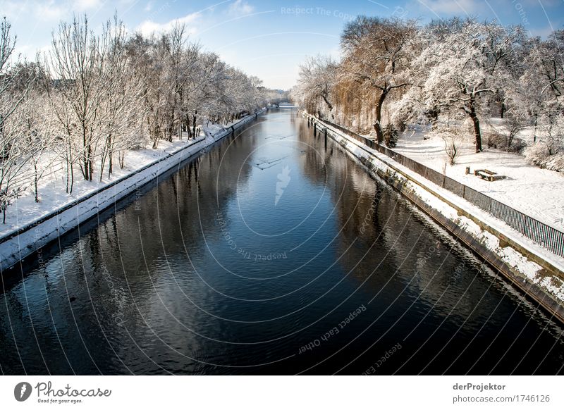 Winter at the Landwehr Canal Vacation & Travel Tourism Trip Adventure Far-off places Freedom Sightseeing City trip Winter vacation Environment Nature Landscape