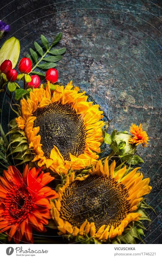 Autumn bouquet of flowers with sunflowers Style Design Decoration Nature Plant Summer Flower Leaf Blossom Bouquet Yellow Still Life Vintage Sunflower Dark