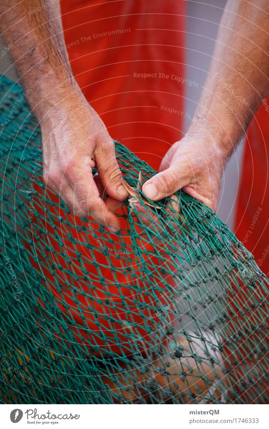 little star. Art Esthetic Fishery Fisherman Fishing boat Fishing net Fishing port Starfish Catching net Fishing quota Colour photo Subdued colour Exterior shot