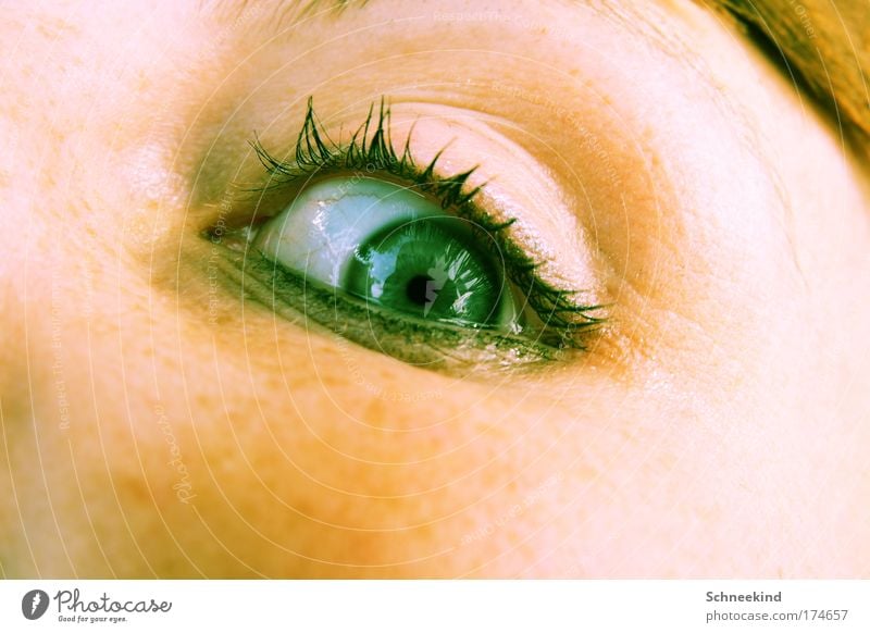 Let's look, then. Colour photo Exterior shot Detail Copy Space right Copy Space bottom Day Light Shadow Reflection Shallow depth of field Bird's-eye view