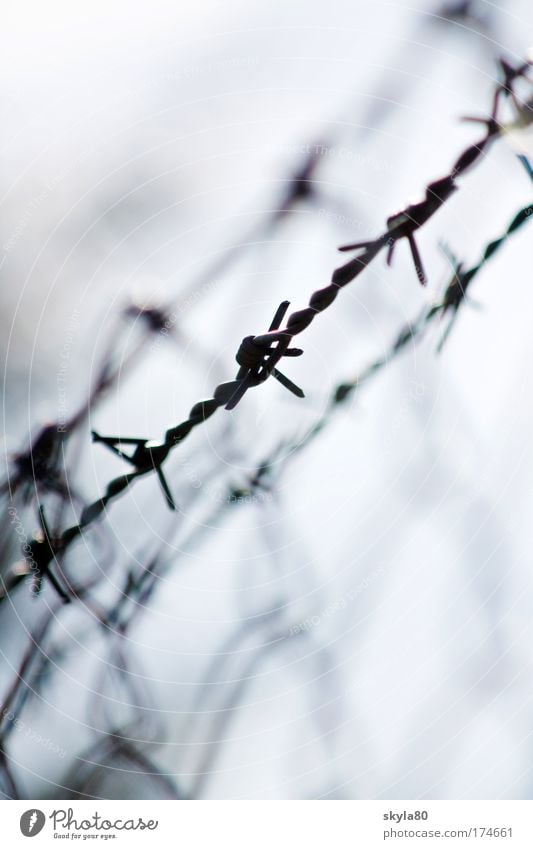 defensive attitude Barbed wire Barbed wire fence Fence War Freedom Captured Convict Human rights Jail sentence Punish Dangerous Peace Safe haven Metal Metalware