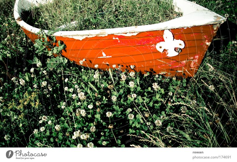 aground Colour photo Multicoloured Exterior shot Day Transport Navigation Inland navigation Cruise Boating trip Passenger ship Motorboat Sailboat Dinghy Rowboat