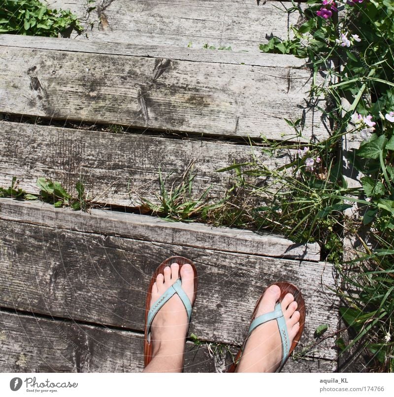 The footbridge Feminine Feet Plant Grass Wild plant Old Flip-flops Stairs Landing Toes Footwear Footbridge Broken Weed Colour photo Day