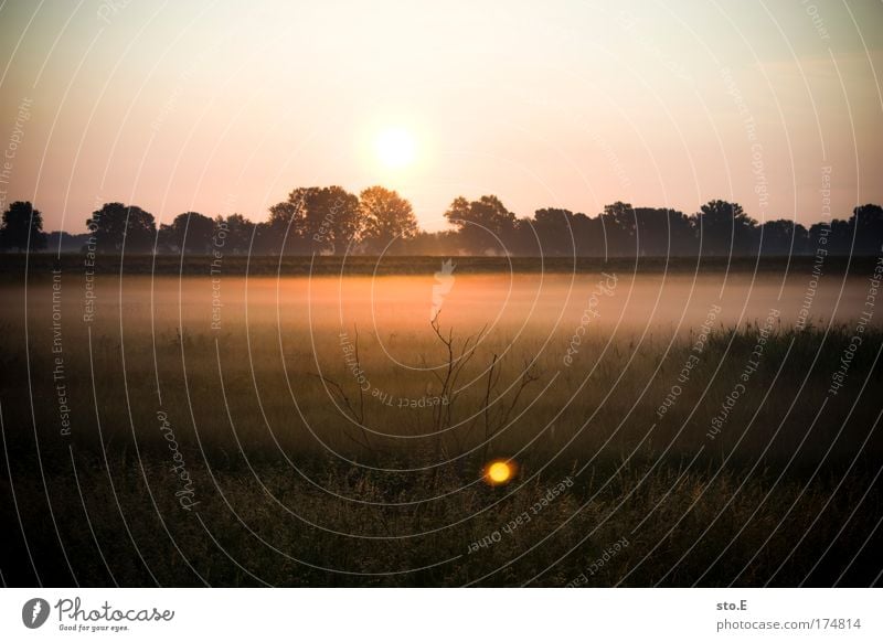 n bissl nature Colour photo Exterior shot Deserted Copy Space top Morning Dawn Light Shadow Contrast Silhouette Reflection Light (Natural Phenomenon) Sunlight