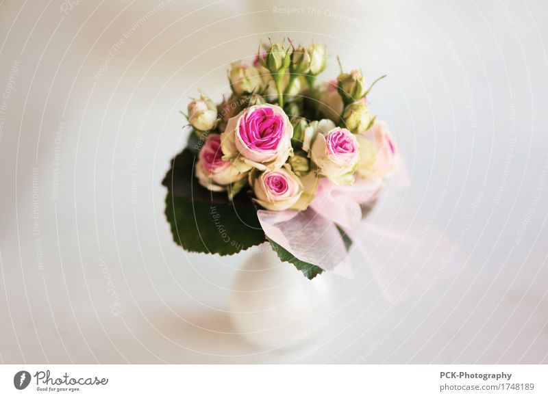 Wedding Flowers Bouquet Plant Pink Red White Rose leaves bouquet of love Flower vase bouquet of roses Macro (Extreme close-up) Colour photo Close-up Blur