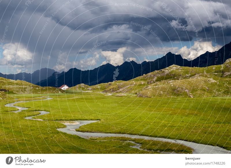 raised bog Nature Plant Clouds Storm clouds Weather Bad weather Rain Thunder and lightning Alps Bog Marsh Exceptional Threat Blue Green Fen Hut Stubai