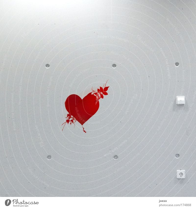 Cold heart Colour photo Interior shot Copy Space top Copy Space bottom Artificial light Flirt Wall (barrier) Wall (building) Passion Love Infatuation Romance