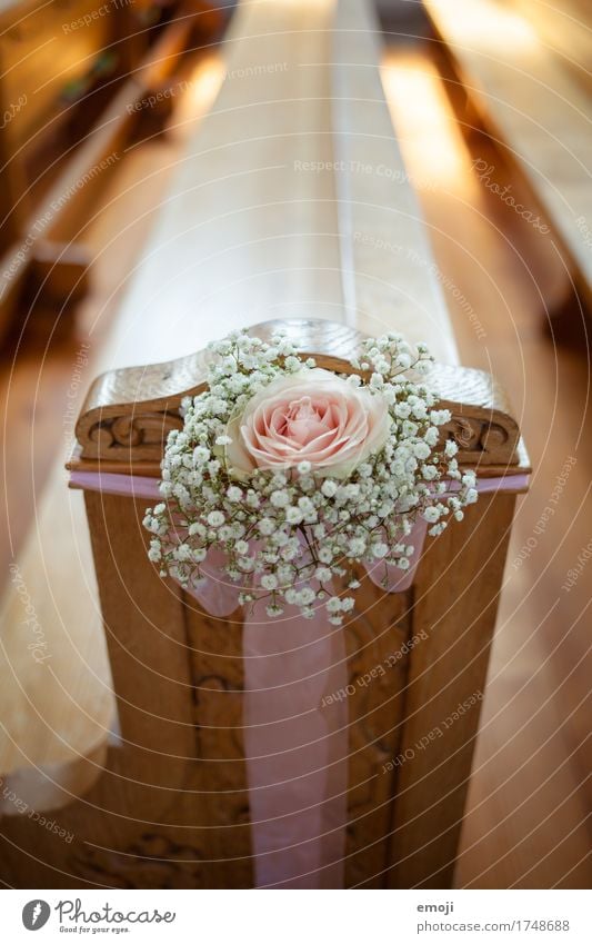 wedding Flower Rose Decoration Bouquet Bow Kitsch Odds and ends Cliche Wedding Colour photo Interior shot Detail Deserted Day Shallow depth of field