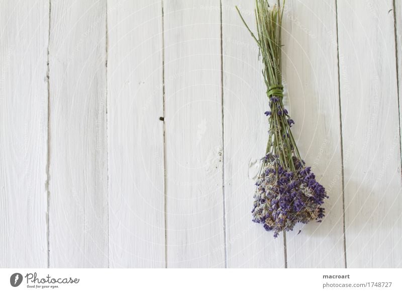 Lavender on wooden board floats Table Flower Blossom Bouquet Violet Fragrance Odor Wooden table Board Comforting Medicinal plant Medication angustifolia vera