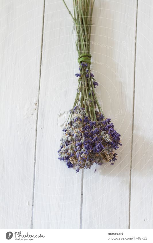 lavender Lavender floats Table Flower Blossom Bouquet Violet Fragrance Odor Wooden table Blossoming Comforting sedative Medicinal plant Medication Annoy Healthy