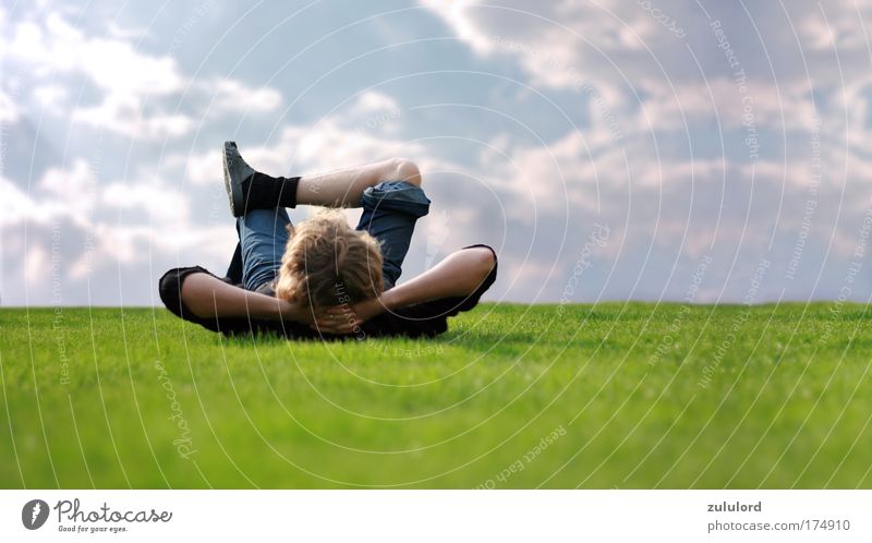 relaxing Colour photo Exterior shot Copy Space right Day Sunlight Shallow depth of field Panorama (View) Upward Well-being Vacation & Travel Summer Garden