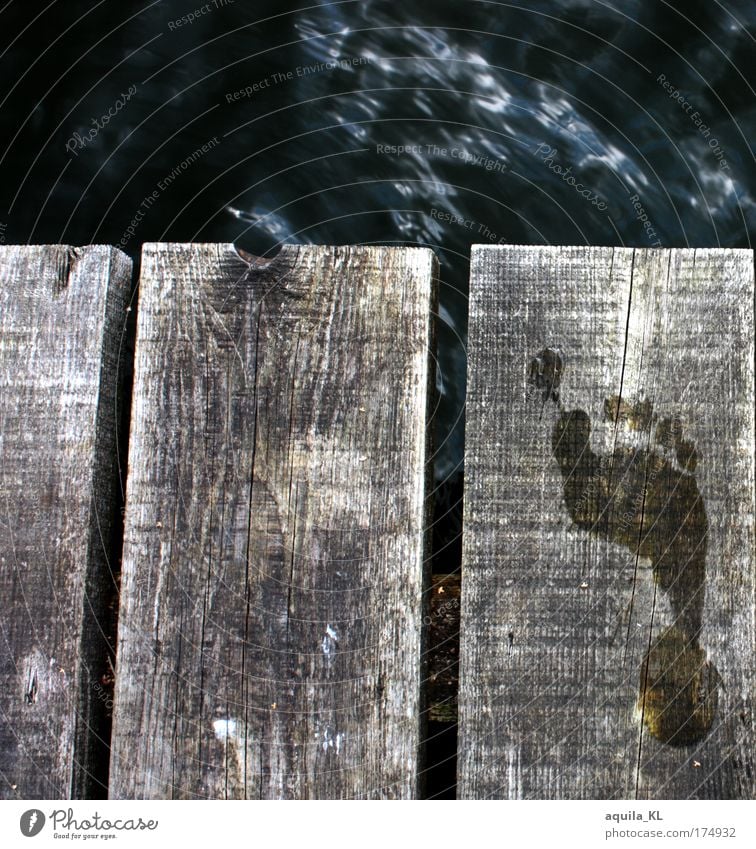 a small step Colour photo Exterior shot Deserted Day Feet Hot Imprint Wooden board Water Footbridge