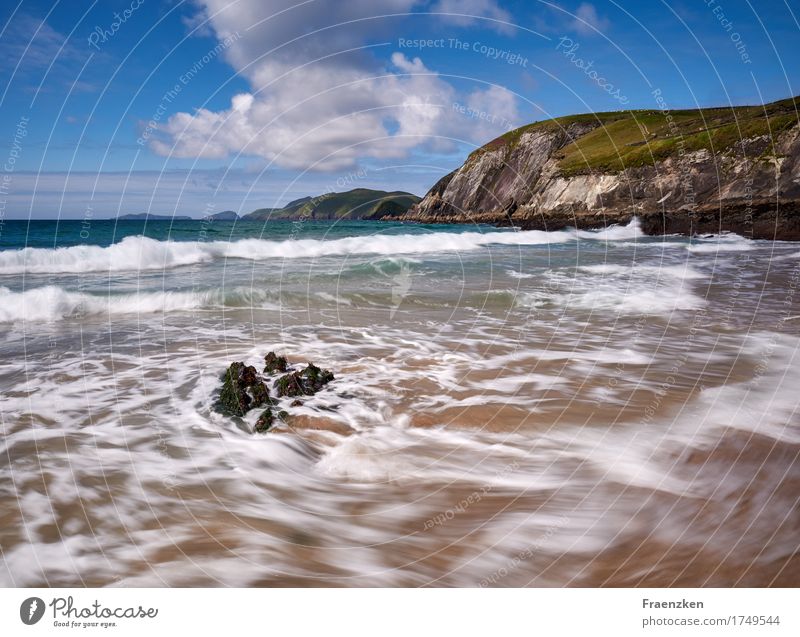 Waves hit a rock Vacation & Travel Freedom Summer Sun Beach Ocean Beautiful weather Wind Coast Movement Loneliness Energy Power Colour photo Exterior shot