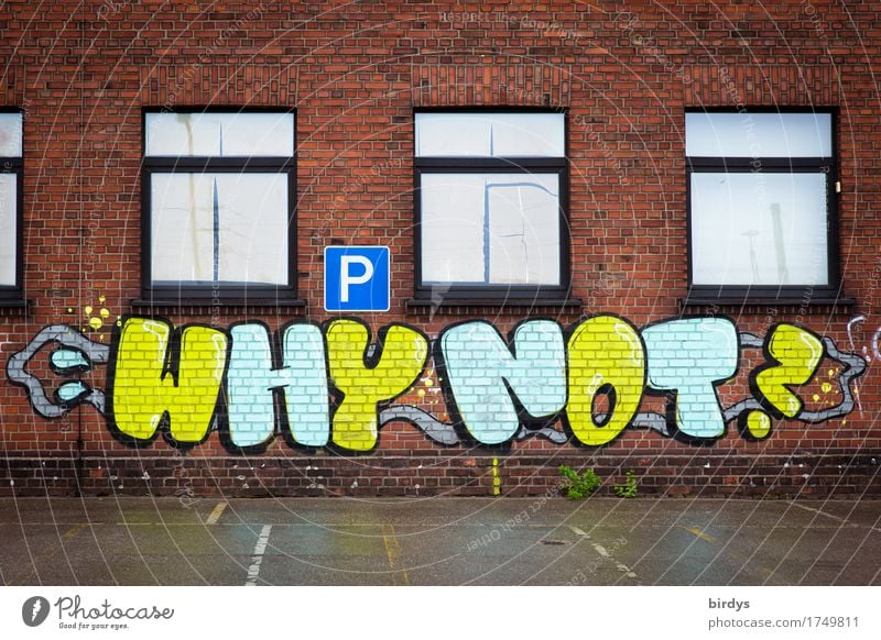 why? House (Residential Structure) Parking lot Facade Window Brick facade Characters Signs and labeling Graffiti Touch Esthetic Brash Free Positive Rebellious