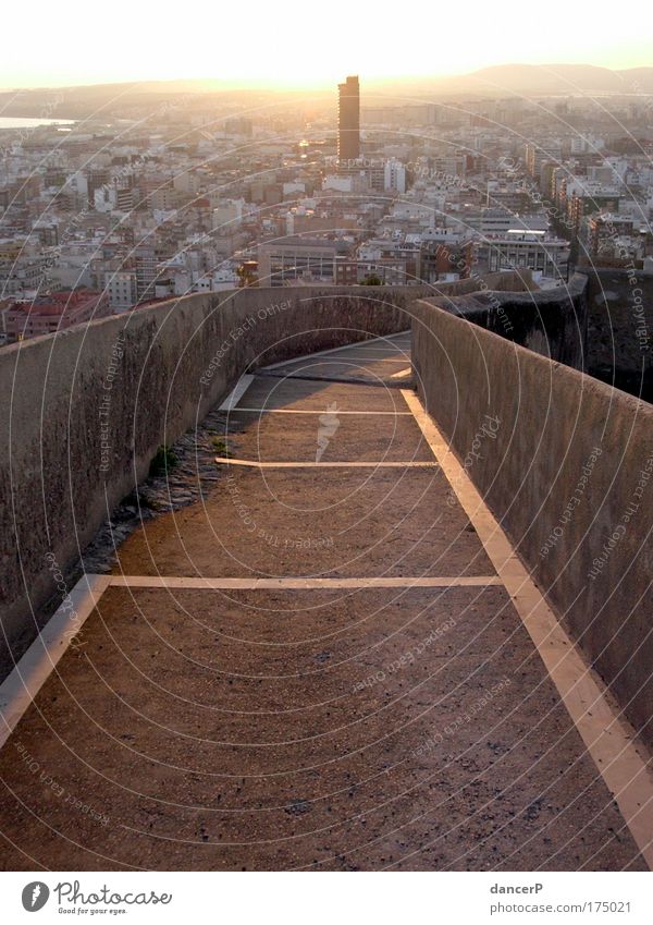 City view into the sunset Exterior shot Evening Light Shadow Sunbeam Sunrise Sunset Vacation & Travel Trip Far-off places Sightseeing City trip Summer