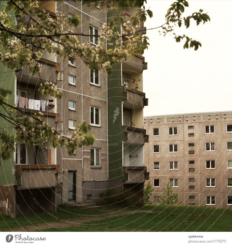 Today as yesterday Colour photo Exterior shot Deserted Copy Space bottom Day Shadow Contrast Shallow depth of field Central perspective Living or residing