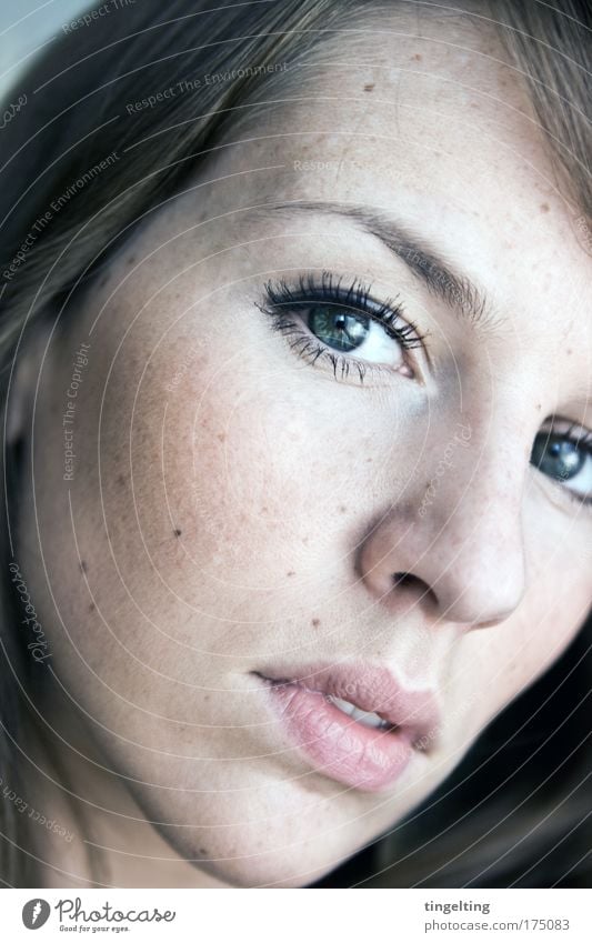 spotted Colour photo Subdued colour Interior shot Portrait photograph Looking into the camera Skin Mascara Rouge Feminine Head Face Eyes Nose Mouth Lips 1