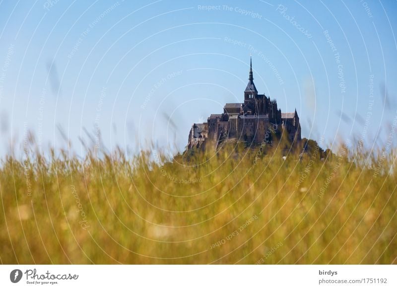 Mont-Saint-Michel behind grass Tourism Summer vacation Cloudless sky Beautiful weather Grass Meadow Mountain Mont St Michel Church Tourist Attraction Esthetic