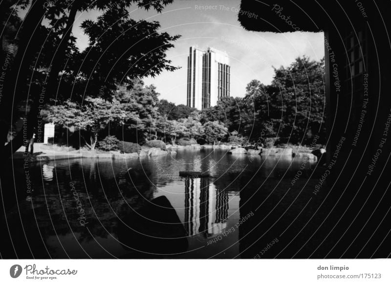 no white without black Black & white photo Exterior shot Day Light Shadow Contrast Silhouette Reflection Deep depth of field Calm House (Residential Structure)