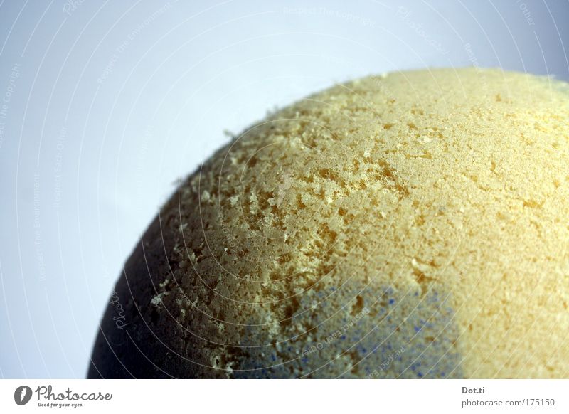 soft ball Colour photo Interior shot Close-up Detail Deserted Copy Space left Neutral Background Shadow Leisure and hobbies Playing Children's game Ball sports