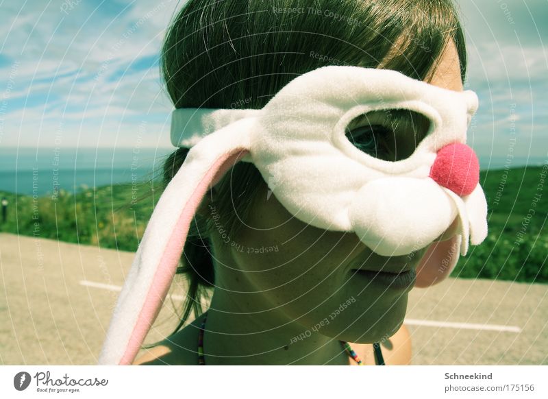 A rabbit on a journey Colour photo Exterior shot Day Shadow Sunlight Shallow depth of field Central perspective Portrait photograph Profile Looking away